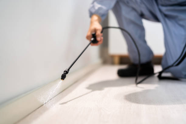 Licensed Exterminator service in South Euclid, OH - Show Me Pest Control